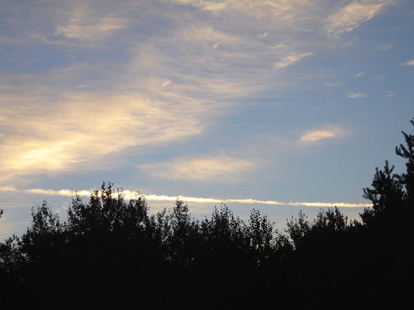 Early morning chemtrails at the Holmestead
